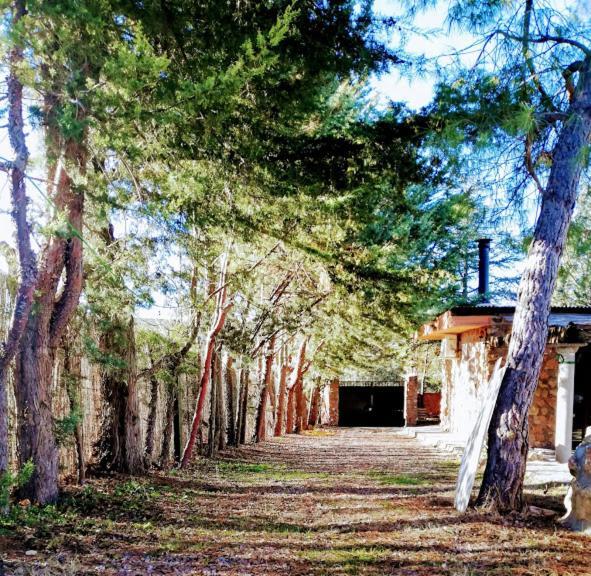 La Cabana De Piedra Руидера Екстериор снимка